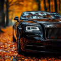 Black car experience